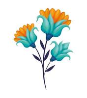 bouquet turquoise flowers vector