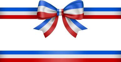 bow and ribbon with french flag colors vector