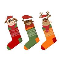 Christmas socks with gifts isolated on a white background vector