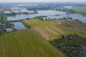 Aerial view from flying drone of field rice with landscape green pattern nature background, top view field rice photo