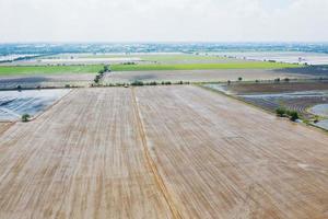 Aerial view from flying drone of field rice with landscape green pattern nature background, top view field rice photo