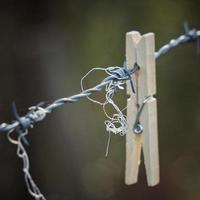 Wooden clothespin on the barbed wire fence