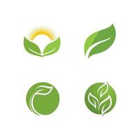 logotipos de la ecología de la hoja del árbol verde vector