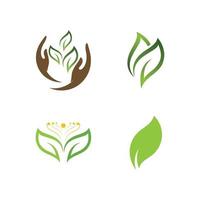 logotipos de la ecología de la hoja del árbol verde vector