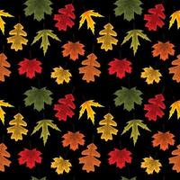 Autumn Leaves Seamless Pattern Background Vector Illustration