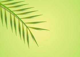 Tropical leaves minimal background vector