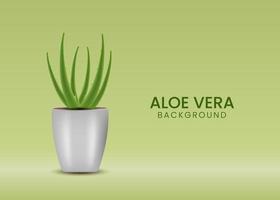 Ilustración realista de fondo de concepto de vector de aloe vera