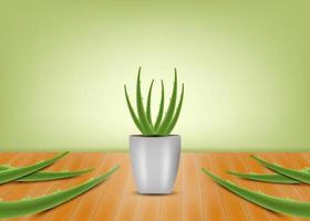 Ilustración realista de fondo de concepto de vector de aloe vera