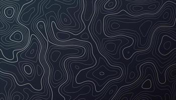 Topographic map contour lines background vector