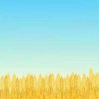 Summer sunny landscape with a field of ripe wheat gradient flat style design vector illustration. Beautiful background for your needs. Sunny day in the wheat field.