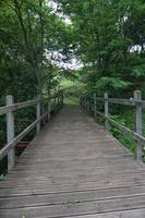 Bridge path in the mountain photo