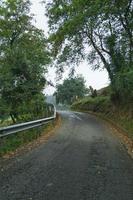 Road with green vegetation in the forest, Bilboa Spain photo