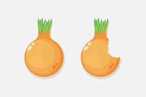 Onion and onion bite icon design vector