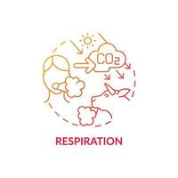 Respiration concept icon. Natural CO2 abstract idea thin line illustration. Consuming oxygen and carbon dioxide releasing. Inhalation and exhalation phases. Vector isolated outline color drawing