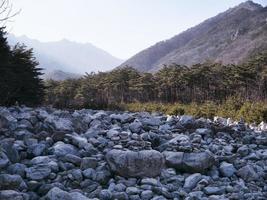 Dry bed of a mountain river in Seoraksan National Park, South Korea photo