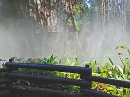 Beautiful garden with flowers in Shenzhen city, China photo