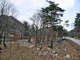 ciudad de sokcho corea del sur - febrero de 2018 hermoso lugar en el parque nacional de seoraksan con vistas a las montañas en la niebla foto