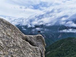 teléfono en un treepod en la cima de la montaña alta. parque nacional de seoraksan. Corea del Sur foto