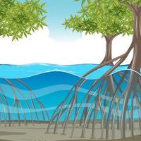 Escena de la naturaleza con árboles de mangle en el agua. vector