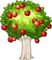 Apple tree isolated on white background vector