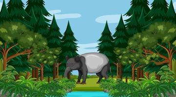 An aardvark in forest scene with many trees vector