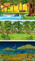 Set of different forest horizontal scenes in different times vector