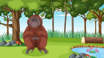 orangután en el bosque o la escena de la selva tropical con muchos árboles vector