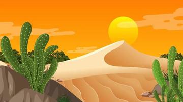 Desert forest landscape at sunset time scene with many cactuses vector