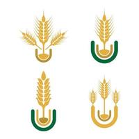 Wheat logo images vector