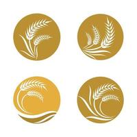 Wheat logo images vector