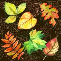 Seamless pattern with autumn leaves. Watercolor. Vector. vector