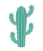 ilustración de cactus espinoso vector