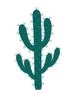 prickly cactus design vector