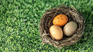 Easter eggs in a natural nest on a green background with grass texture photo