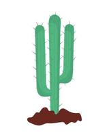 cactus del desierto verde vector