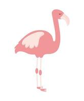 beautiful pink flamingo vector