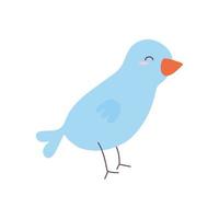 blue bird on a white background vector