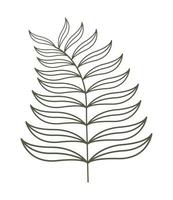 botanical art icon vector