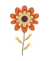 cute orange sunflower vector