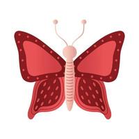 butterfly with a red color vector