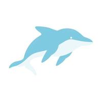 dolphin on a white background vector