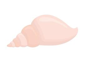 pink seashell isolated vector