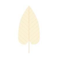leaf with a beige color vector