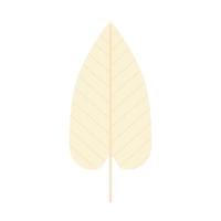 leaf with a beige color vector