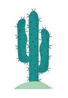 green desert cactus vector
