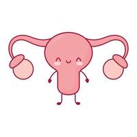 smiling uterus isolated vector