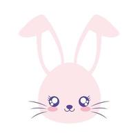 rabbit over a white background vector