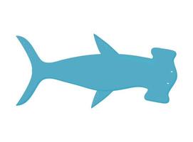 Tiburón martillo sobre un fondo blanco.