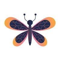 butterfly in a white background vector