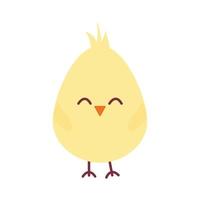 chick on a white background vector